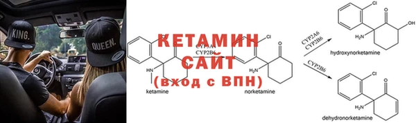 дмт Дмитриев
