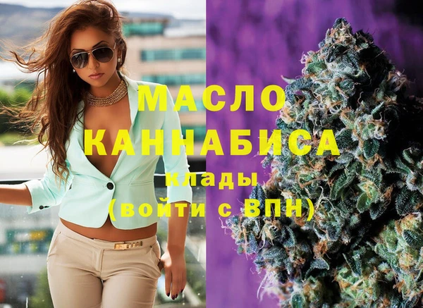 дмт Дмитриев
