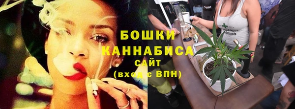 дмт Дмитриев