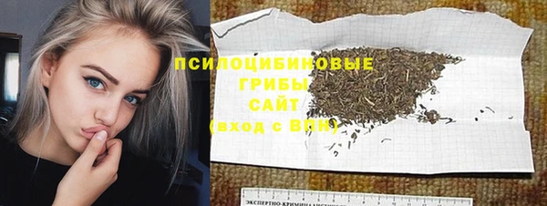 дмт Дмитриев